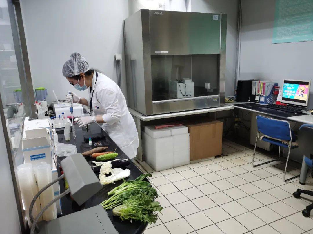 松阳食品检测实验室装修方案